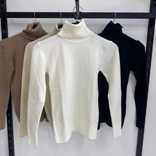 Basic Turtlenecks Sweaters