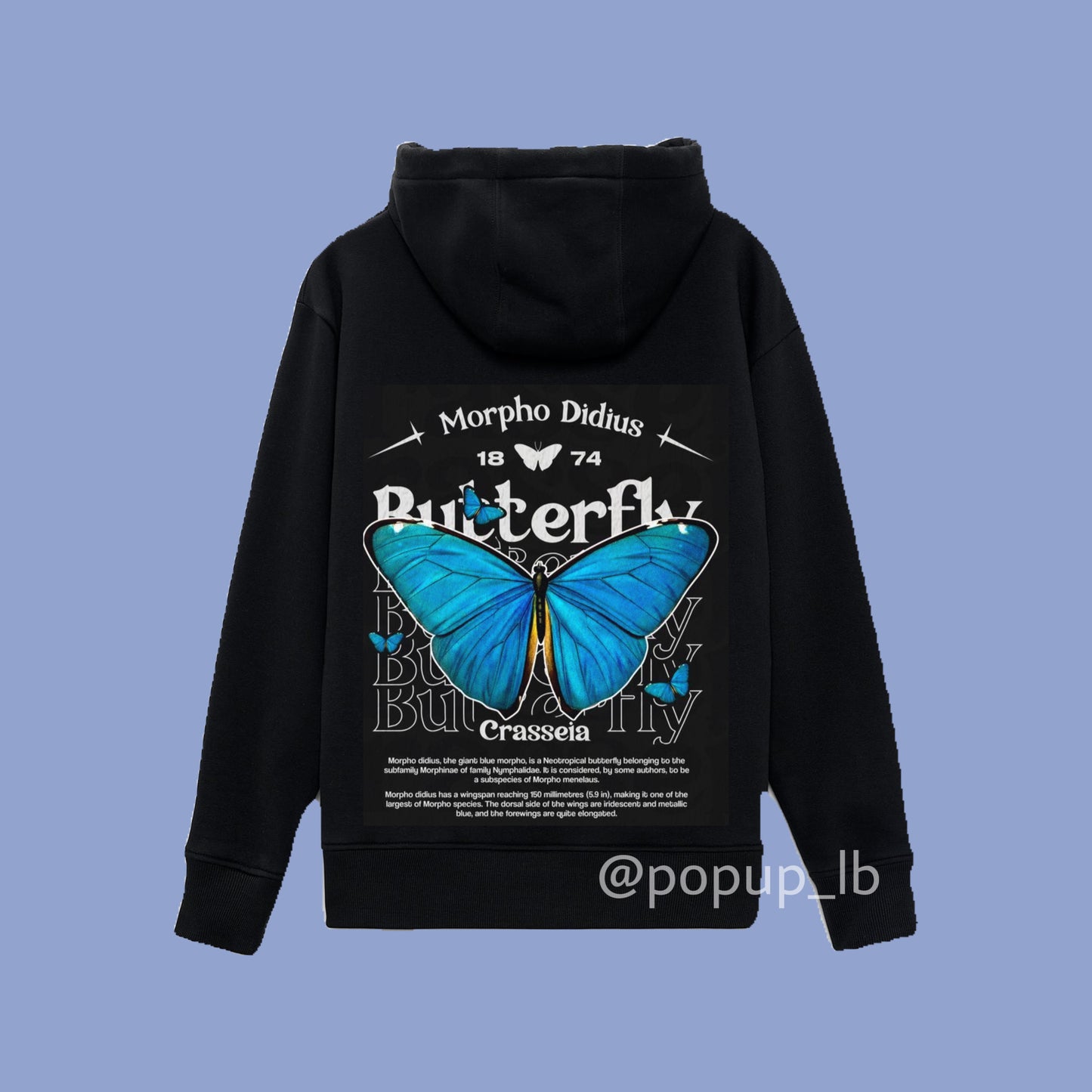 Butterfly Hoodie